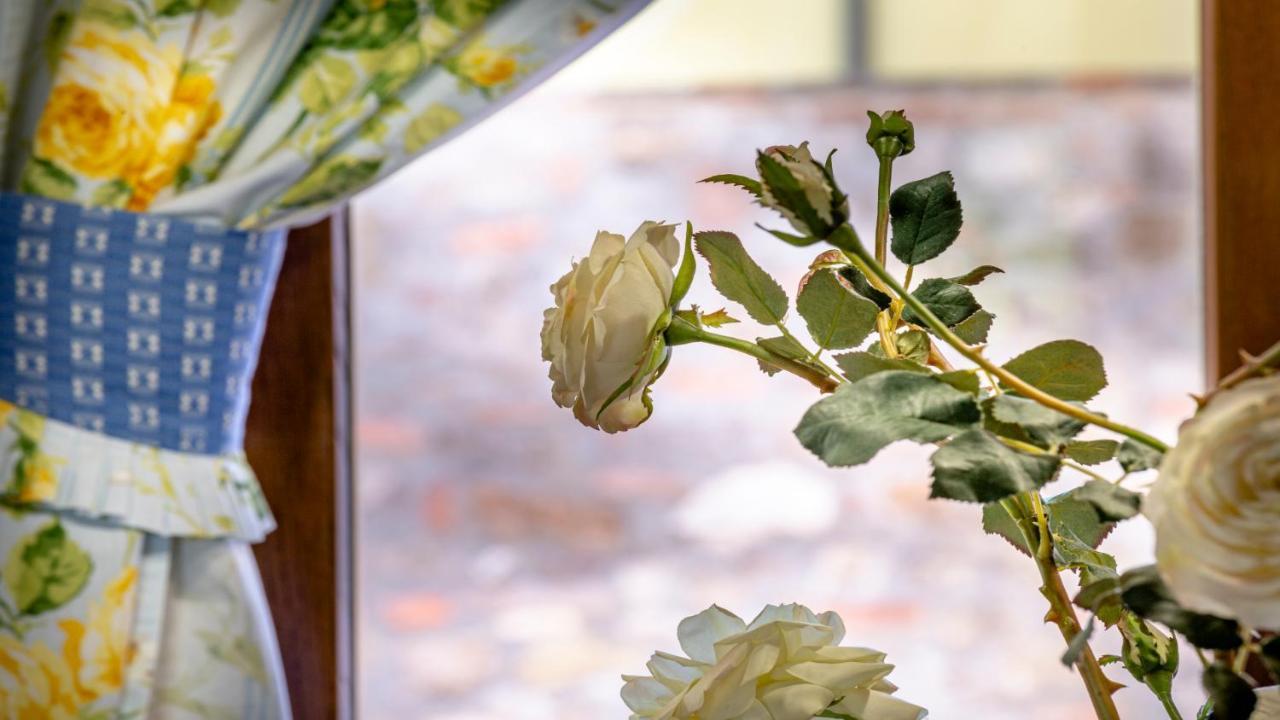 Il Cottage Di Patrizia ルッカ エクステリア 写真